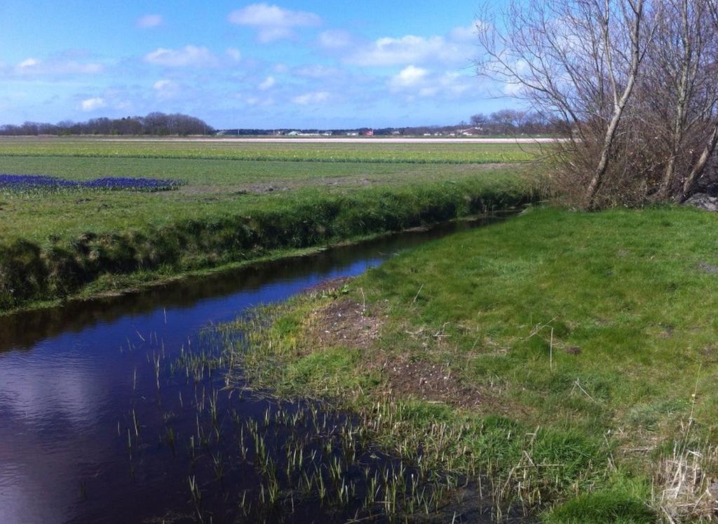 Strand49 Glamping Sint Maartenszee Sint Maartensvlotbrug Zewnętrze zdjęcie